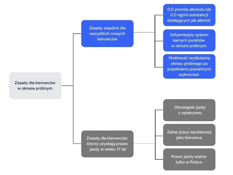 Schemat przedstawiający zasady dla nowych kierowców w okresie próbnym – 2026 rok Blog GAZeLka
