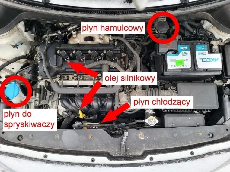 Rozmieszczenie płynów eksploatacyjnych pod maską Hyundai i20